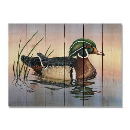 RICKI&APOSS RUGS 33 x 24 in. Bartholets Woody Inside & Outside Cedar Wall Art RI896443